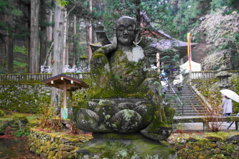 DSC00008.JPG