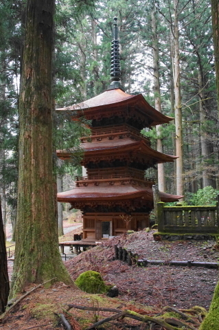 DSC00009.JPG