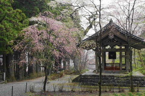 DSC00013.JPG