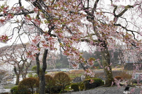 DSC00015.JPG