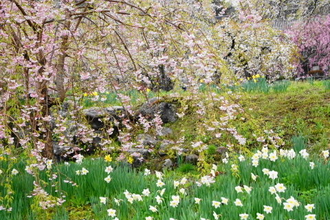 DSC00020.JPG