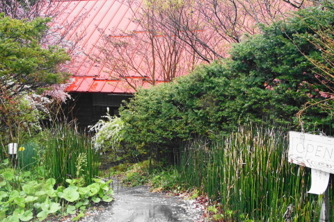 DSC00022.JPG