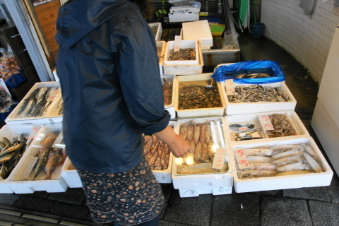 DSC00156ND.JPG