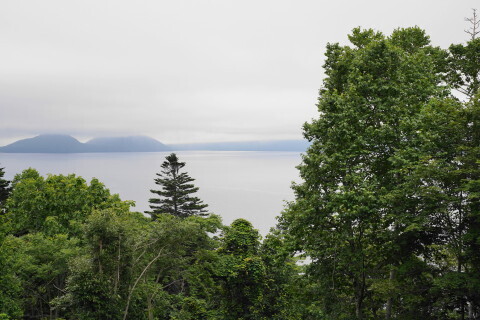 DSC00205.JPG