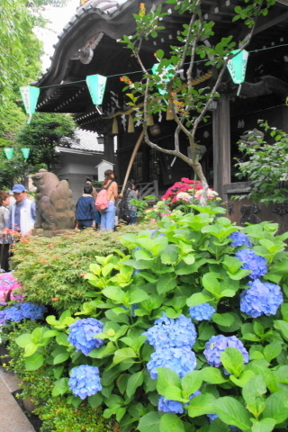 DSC00340ND.JPG