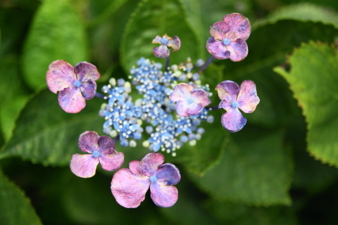 DSC00348ND.JPG