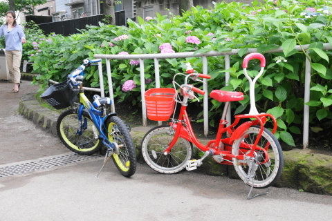 DSC00349ND.JPG