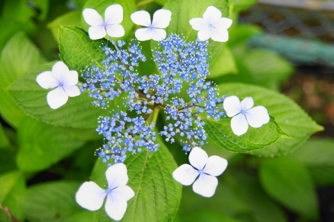DSC00359ND.JPG