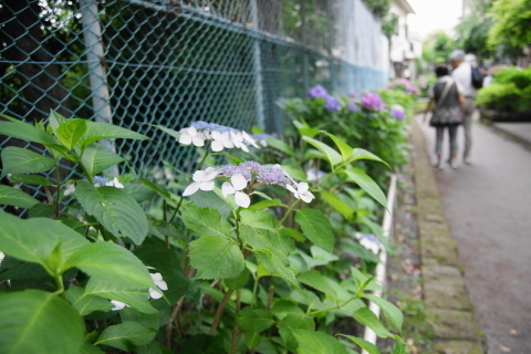 DSC00365ND.JPG
