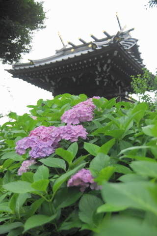 DSC00371ND.JPG