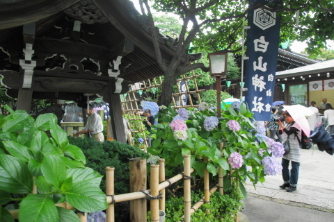 DSC00397ND.JPG
