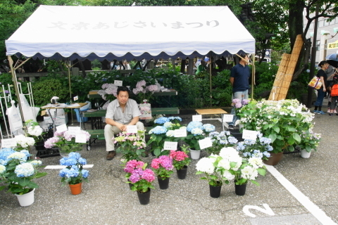 DSC00400ND.JPG