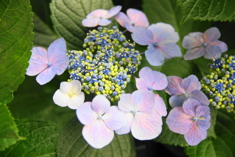 DSC00409ND.JPG