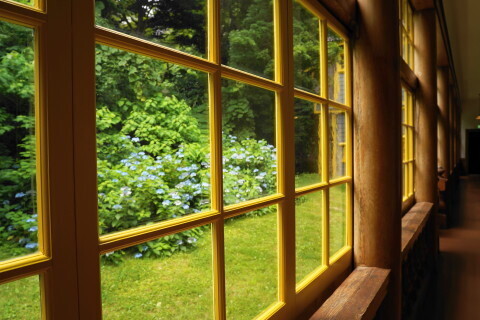 DSC00430.JPG