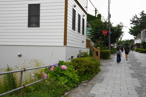 DSC00455.JPG