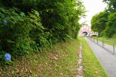 DSC00544.JPG