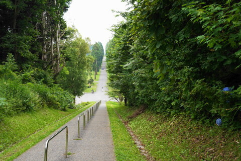 DSC00546.JPG