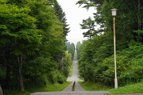 DSC00559.JPG