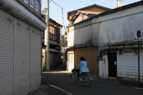 DSC00679.jpg