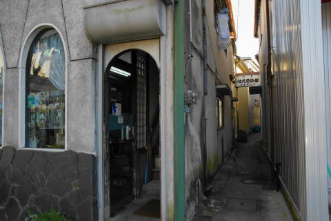 DSC00682.jpg