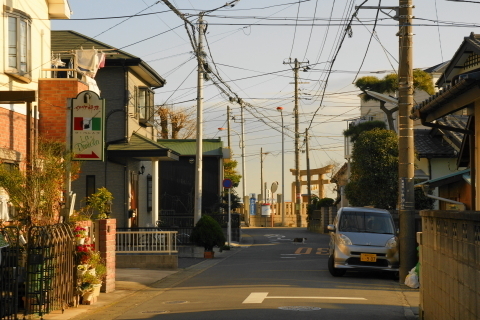 DSC00689N.JPG
