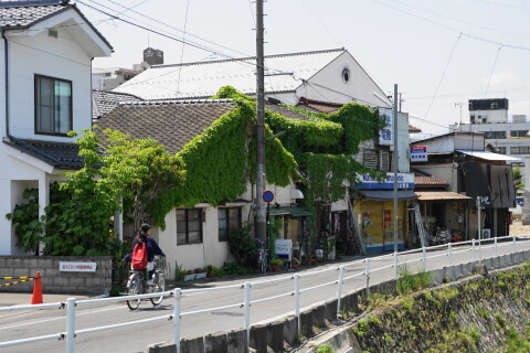 DSC00746.JPG