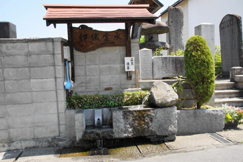 DSC00748.JPG