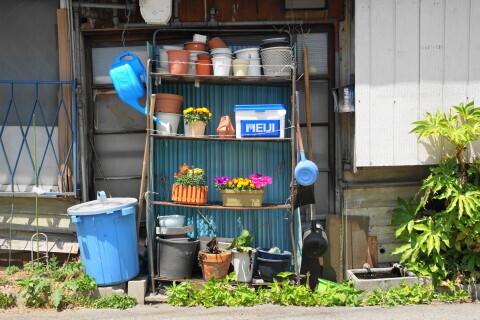 DSC00756.JPG