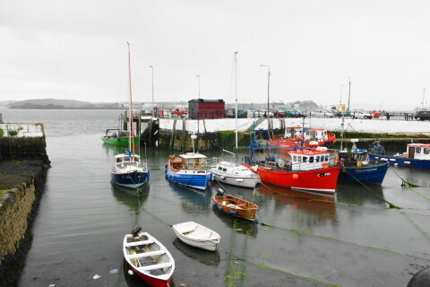 DSC00915ND.JPG
