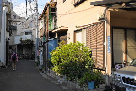 DSC00944.JPG