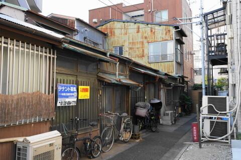 DSC00963.JPG