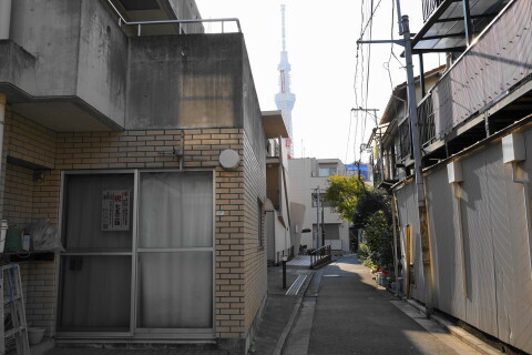 DSC00973.JPG