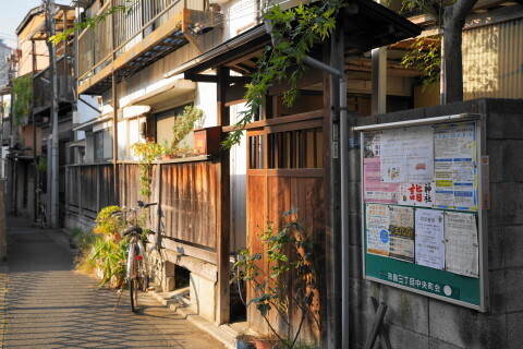 DSC00987.JPG