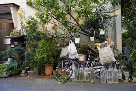 DSC01006.JPG