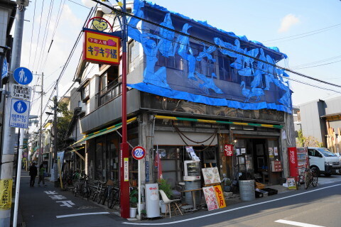DSC01018.JPG