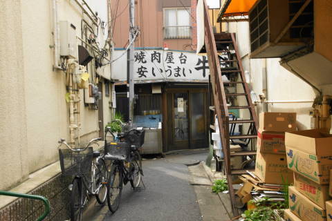 DSC01069.jpg