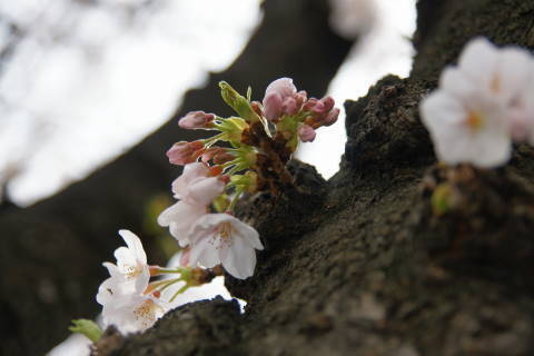 DSC01122.jpg