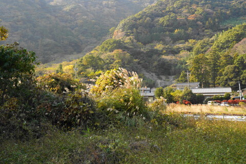 DSC01177.JPG
