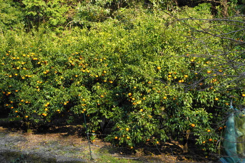 DSC01182.JPG