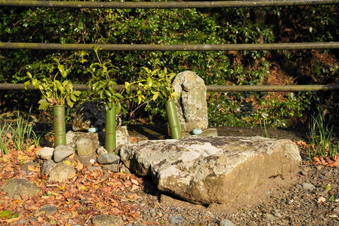 DSC01184.JPG