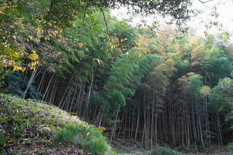 DSC01188.JPG