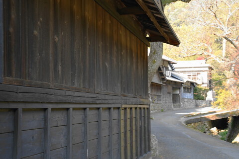 DSC01196.JPG