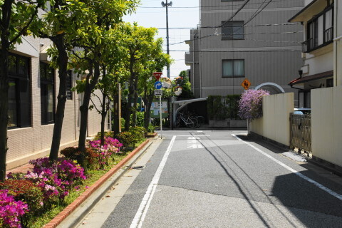 DSC01198.JPG