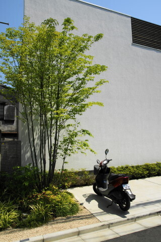 DSC01201.JPG
