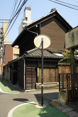 DSC01213.JPG