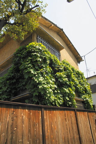 DSC01215.JPG