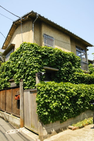 DSC01216.JPG