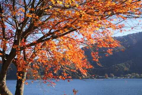 DSC01232.JPG