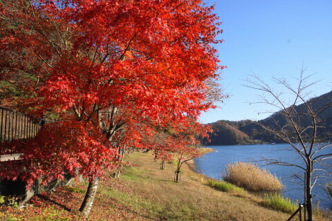 DSC01234.JPG