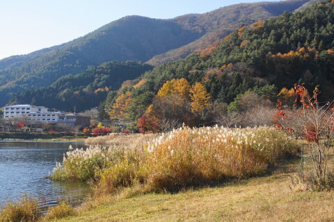 DSC01235.JPG